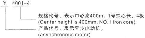 西安泰富西玛Y系列(H355-1000)高压ZSN4-225-091三相异步电机型号说明