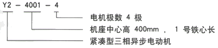 YR系列(H355-1000)高压ZSN4-225-091三相异步电机西安西玛电机型号说明